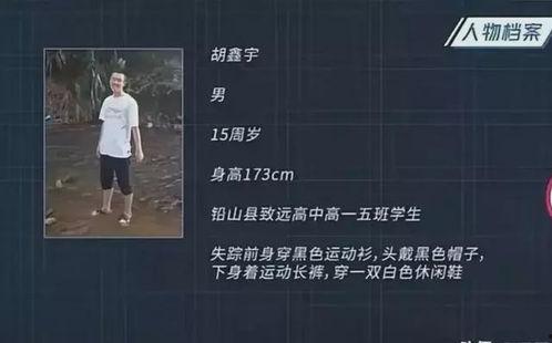新闻爆料失踪案例最新视频,失踪案背后惊人真相