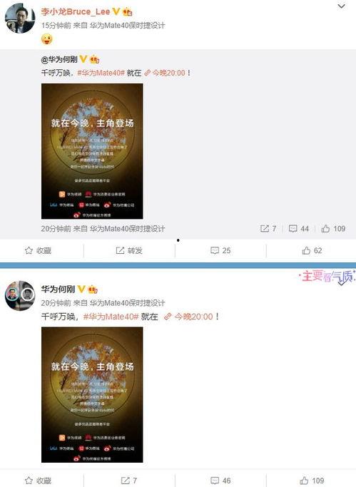 爆料语音视频大全最新,语音视频大全大揭秘！