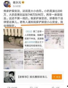 陈老师最新爆料新闻,最新爆料新闻背后的惊人真相