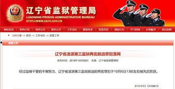 辽宁最新爆料消息视频,视频揭秘惊人内幕