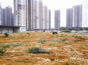 深圳小区最新爆料