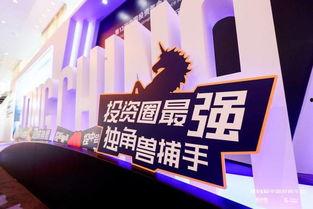 创投大佬爆料视频大全最新