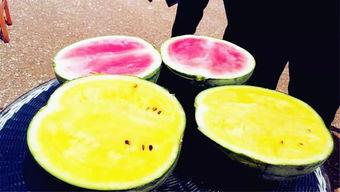 一月大瓜最新爆料,揭秘明星幕后真相，震惊业界！