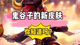 元哥六元皮最新爆料,行业变革背后的秘密