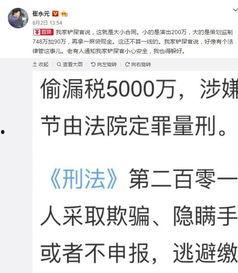 明星偷税爆料视频大全最新,最新明星偷税爆料视频大盘点